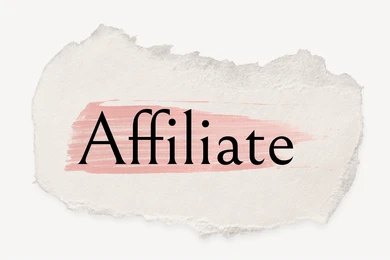 Image Header Article